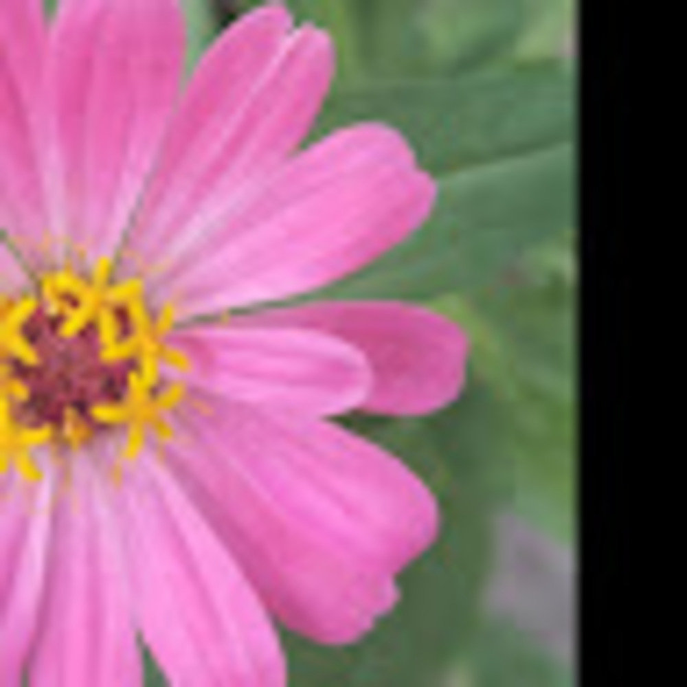 Meet your Posher, Brandy